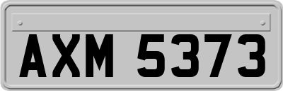 AXM5373