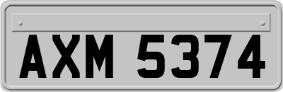 AXM5374