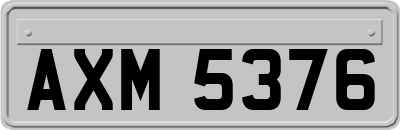 AXM5376