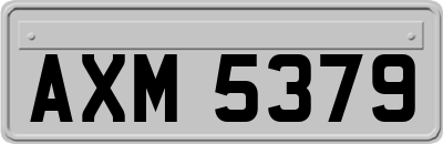 AXM5379