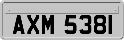 AXM5381