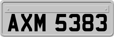 AXM5383