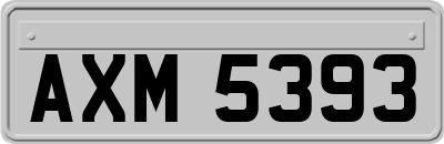 AXM5393
