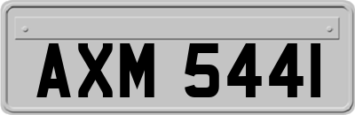 AXM5441