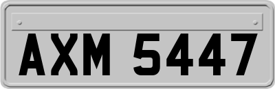 AXM5447