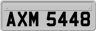 AXM5448