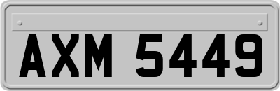AXM5449