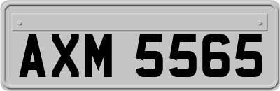 AXM5565