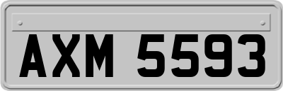 AXM5593