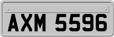 AXM5596