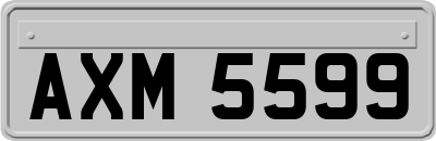 AXM5599