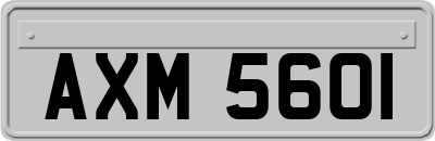 AXM5601