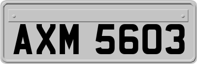 AXM5603