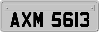 AXM5613