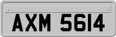 AXM5614