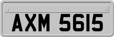 AXM5615