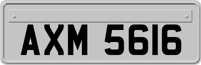AXM5616