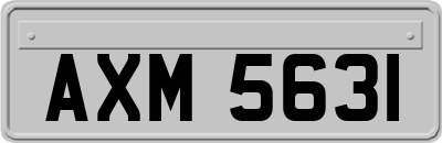 AXM5631