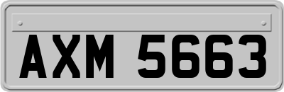 AXM5663