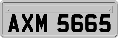 AXM5665
