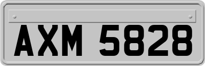 AXM5828