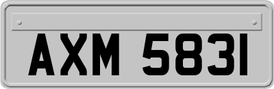 AXM5831