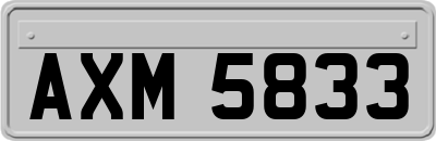 AXM5833