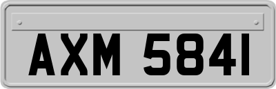 AXM5841