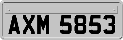 AXM5853
