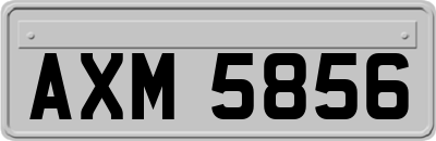 AXM5856