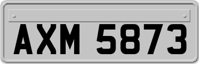 AXM5873