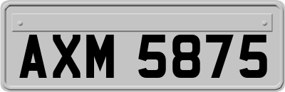 AXM5875