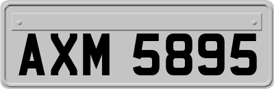 AXM5895