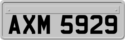 AXM5929