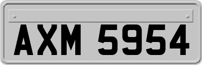 AXM5954