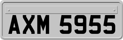 AXM5955