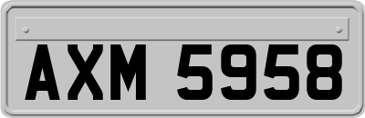 AXM5958