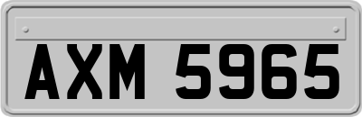 AXM5965