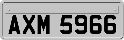 AXM5966