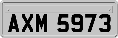 AXM5973