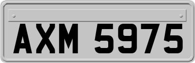 AXM5975