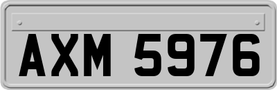 AXM5976