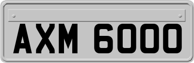 AXM6000