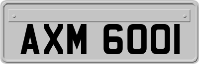 AXM6001