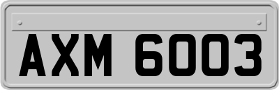 AXM6003