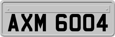 AXM6004