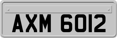 AXM6012