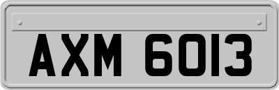 AXM6013