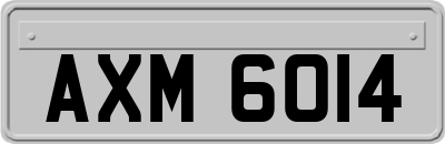 AXM6014
