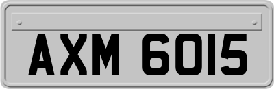 AXM6015